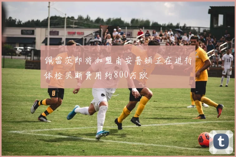 佩雷茨即将加盟南安普顿正在进行体检买断费用约800万欧