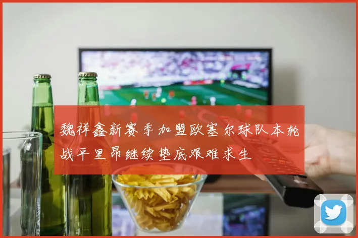 魏祥鑫新赛季加盟欧塞尔球队本轮战平里昂继续垫底艰难求生