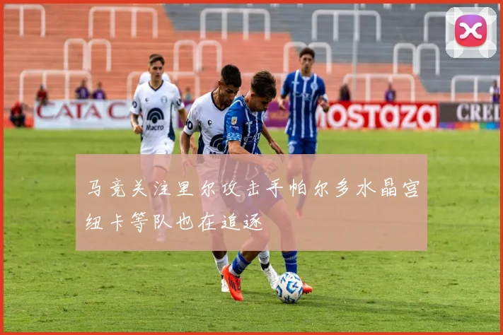 马竞关注里尔攻击手帕尔多水晶宫纽卡等队也在追逐