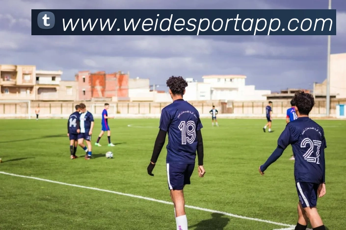 伟德体育平台生态图