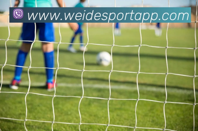 伟德体育APP 封面图